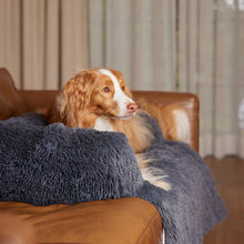 Učitajte sliku u preglednik galerije, Petsy umirujući ležaj - zaštita za nameštaj